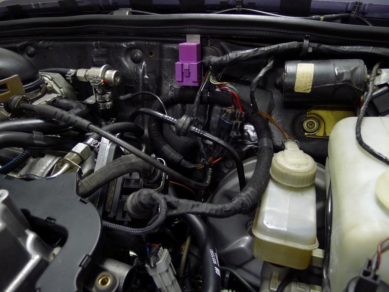 P1080478 (Andere).JPG